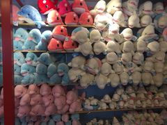 -北戴河圣蓝海洋公园