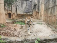 -南宁市动物园