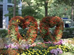 -上海共青森林公园