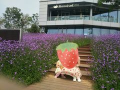 -猫的天空之城概念书店(北戴河蔚蓝海岸店)