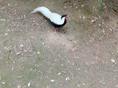 -森林公园(尖草坪区)