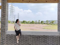 -王借岗森林公园