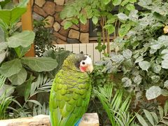 -南宫五洲植物乐园