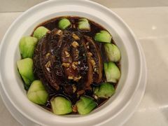 -天鹅到家·保姆月嫂育儿嫂(朝阳店)