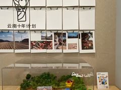 -Seesaw Coffee(武商MALL·武广店)
