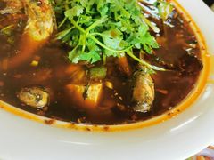 -胖大姐黄辣丁鱼庄(新津店)