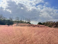 -嘉北郊野公园