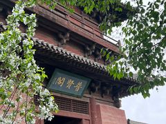 -善化寺