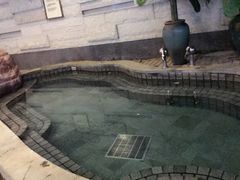 -天目湖涵田半山温泉