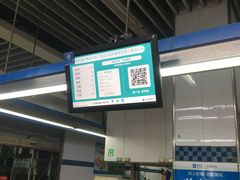-科巷菜场