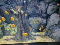 -常州海昌海洋探索馆