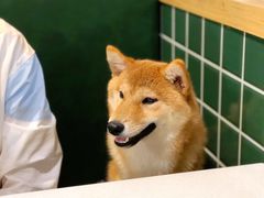 -有拈头成都市井火锅(老门东店)