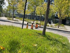 -首都医科大学附属北京天坛医院