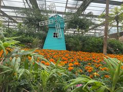 -南宫五洲植物乐园