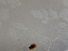 -杨记小骨头羊杂馆(南五马路店)