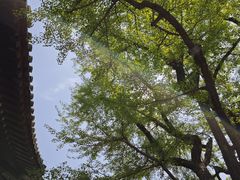 -红螺寺
