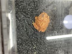 -三旗百汇商品城