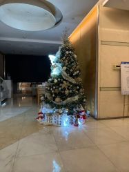 -杭州贝瑞斯美华妇儿医院·早孕·产检·儿科