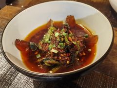 -铁公鸡·四川料理(天环广场店)