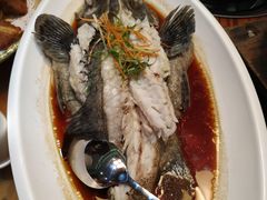 -农厨好味·温泉鹅·农家菜