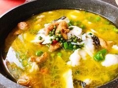 肥肠鱼-赵小姐丨新中餐(曲江店)