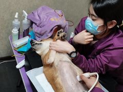 -宠爱国际动物医院·消化内科·心肾内科·ISFM猫友好(望京店)