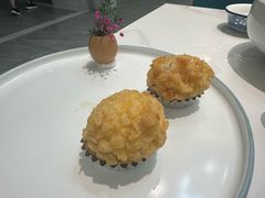 -丁老爷子苏香圆