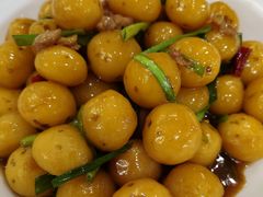 -大鸭梨烤鸭店(花园村店)