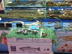 -板桥海鲜广场(文明东店)