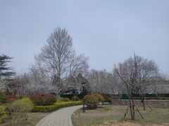 -青岛中山公园-索道售票处