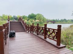 -南湖湿地公园