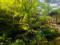 景点-常寂光寺
