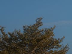 -深圳湾公园(南山区)