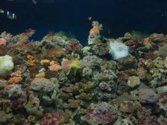 -福州罗源湾海洋世界旅游区