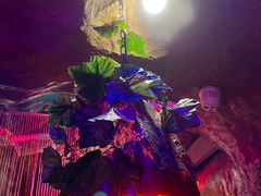 -醉小酒馆·川菜·江湖菜·重庆菜(观音桥旗舰店)