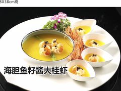 -梧桐庄园