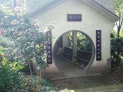 -重庆彩云湖湿地公园