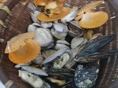 贝类拼盘-坛南湾阿强农家乐.海鲜大排档老字号(福州地标美食店)