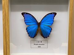 -汕头市博物馆