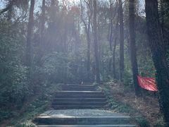 -苏州上方山国家森林公园