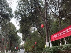 -云龙山