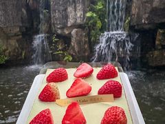 -壹点壹客·生日蛋糕(南山店)