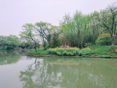 -西溪国家湿地公园