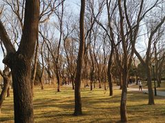-玲珑塔公园