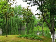 -尚贤河湿地