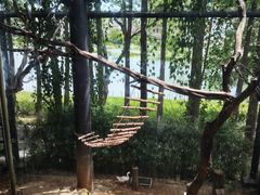 -武汉动物园