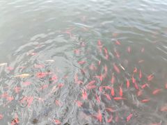 -西宁市人民公园(城西区)