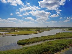 -春花秋色城市公园