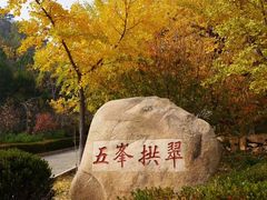 -遵化市禅林寺古银杏风景园