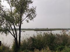 -野鸭湖国家湿地公园